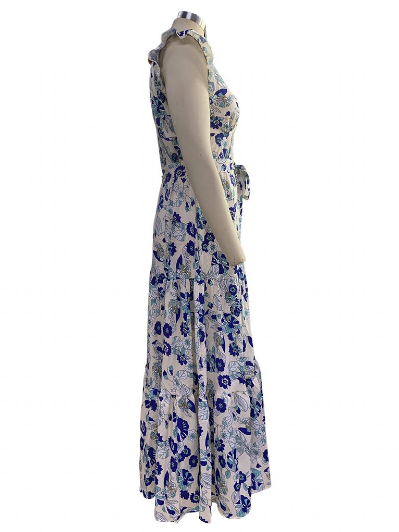 Robe Longue Pour Femmes Col V Sans Manches À Lacets Volants Plissés Imprimé Floral Maxi Extensible - Bleu