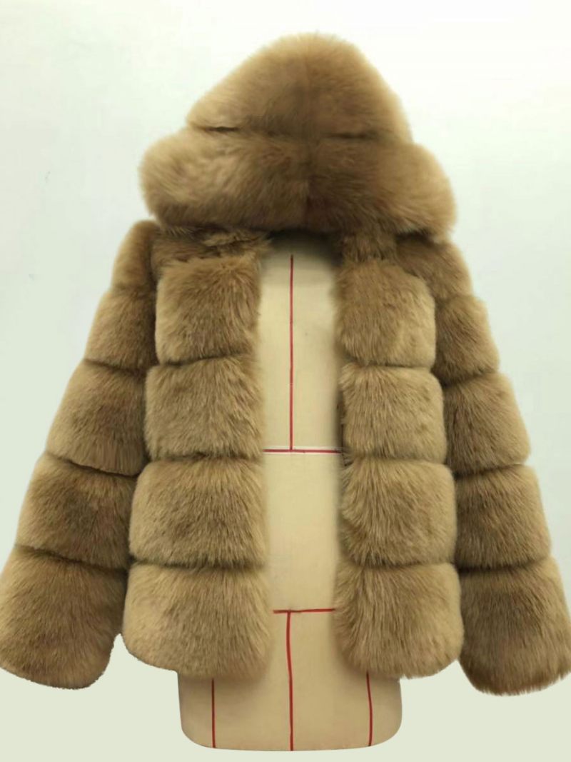 Manteau À Capuche Fausse Fourrure Pour Femme Vêtement D'extérieur Court D'hiver 2024 - Marron Clair