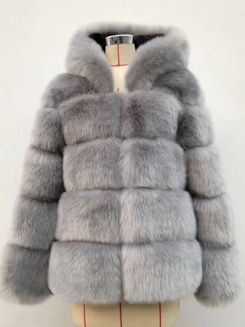 Manteau À Capuche Fausse Fourrure Pour Femme Vêtement D'extérieur Court D'hiver 2024 - Gris Clair