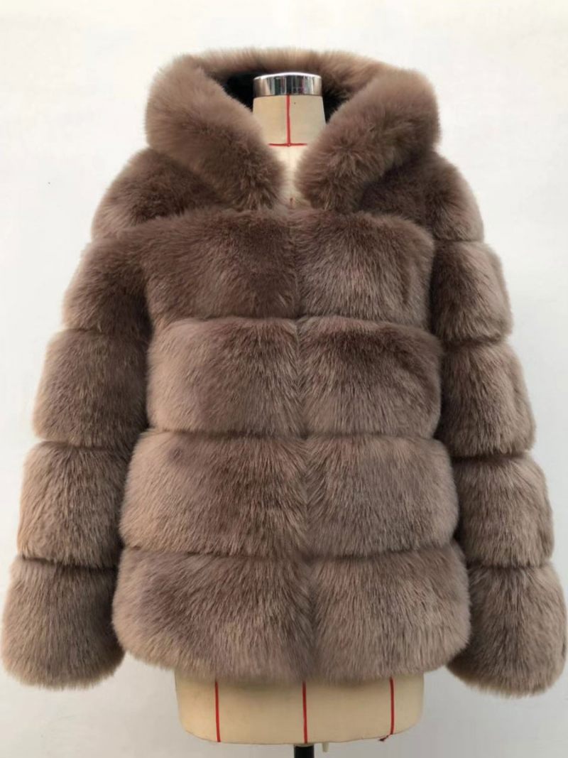 Manteau À Capuche Fausse Fourrure Pour Femme Vêtement D'extérieur Court D'hiver 2024 - Camel