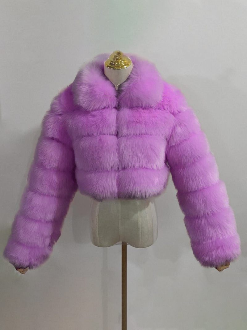 Manteau Fausse Fourrure Peluche Pour Femme Vêtement D'extérieur Court D'hiver 2024 - Lavande