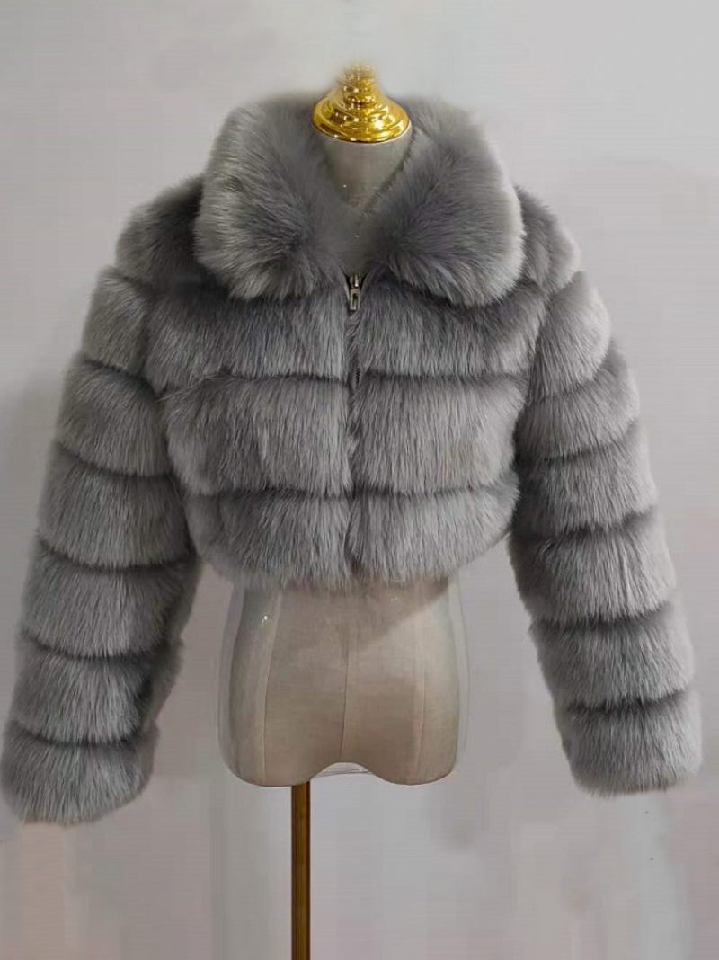 Manteau Fausse Fourrure Peluche Pour Femme Vêtement D'extérieur Court D'hiver 2024 - Gris