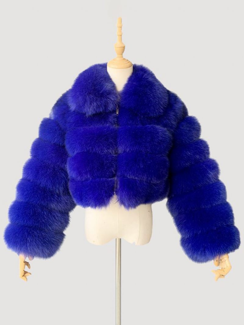 Manteau Fausse Fourrure Peluche Pour Femme Vêtement D'extérieur Court D'hiver 2024 - Bleu