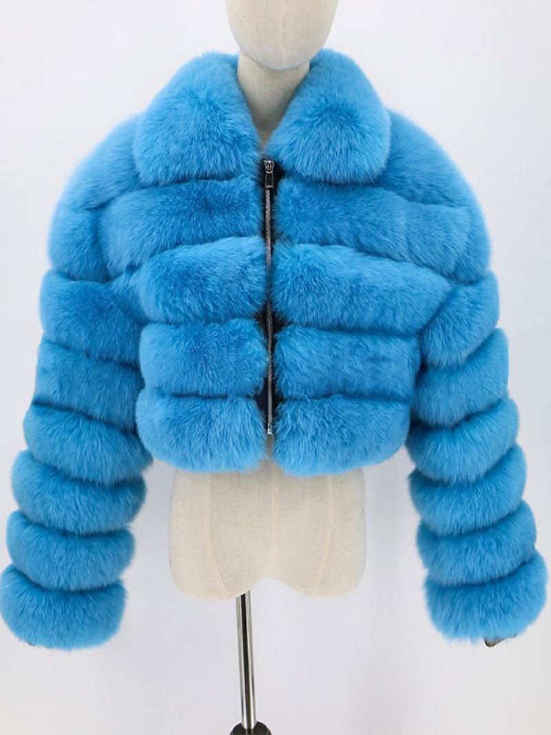 Manteau Fausse Fourrure Peluche Pour Femme Vêtement D'extérieur Court D'hiver 2024 - Bleu Ciel Clair