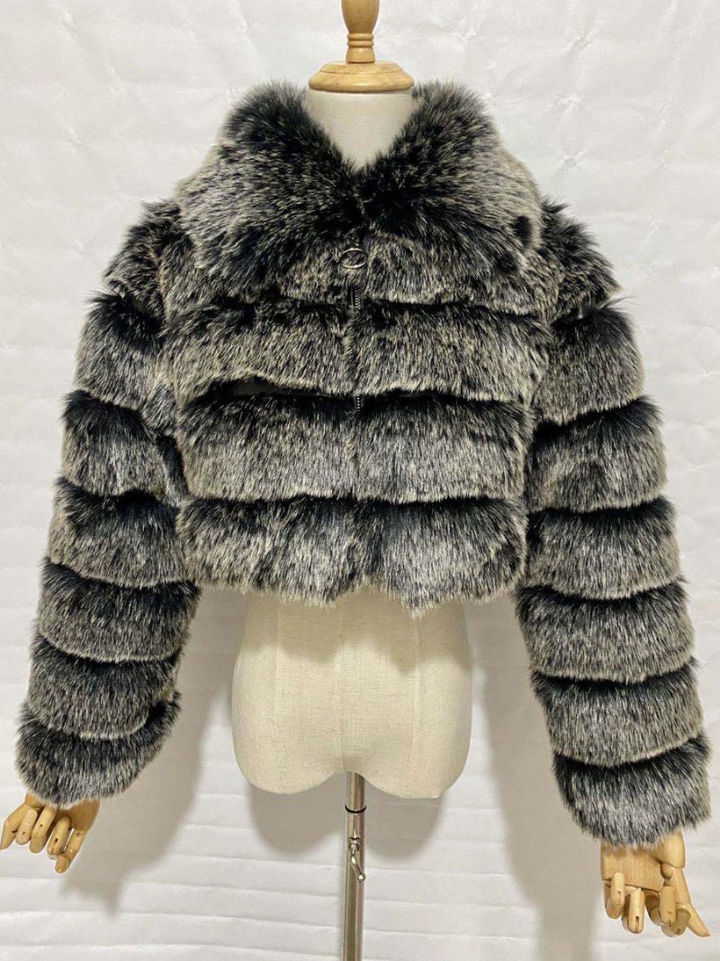 Manteau Fausse Fourrure Peluche Pour Femme Vêtement D'extérieur Court D'hiver 2024 - Argent