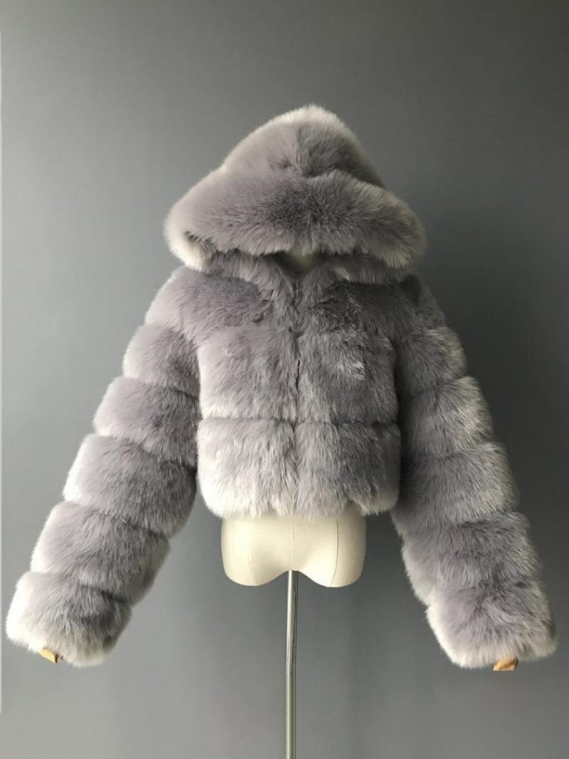 Manteaux Fausse Fourrure Blanche Veste Courte À Capuche Vêtements D'extérieur D'hiver Pour Femmes - Gris