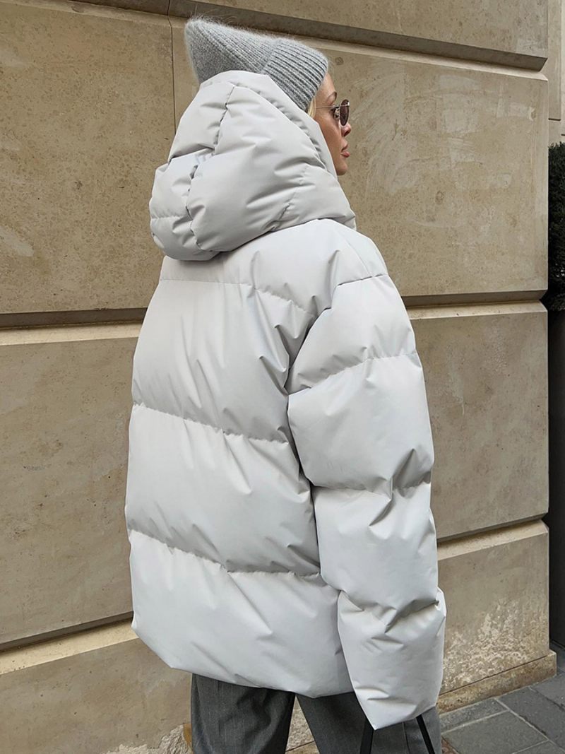 Manteau Bouffant À Capuche Avec Fermeture Éclair Couleur Unie Vêtements D'extérieur Surdimensionnés Pour Femmes - Gris Clair