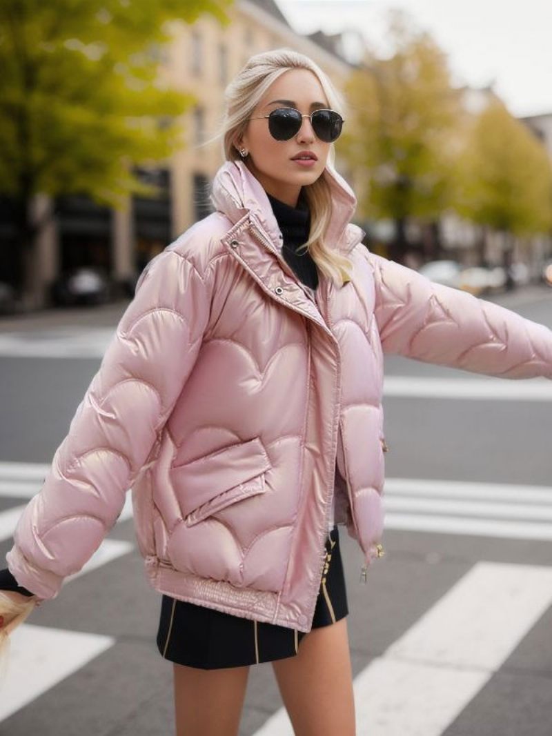 Manteaux Bouffants Pour Femmes Col Montant Fermeture Éclair Manches Longues Vêtements D'extérieur D'hiver - Rose