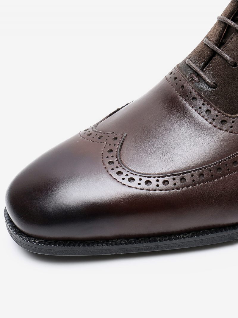 Chaussures Habillées Pour Hommes Bout Rond Moderne À Lacets Peau Vache Debby Mariage Bal - Marron Café