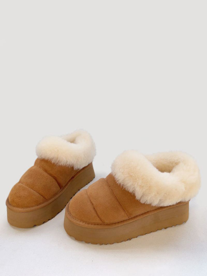 Bottes D'hiver Marron Pour Femmes Courtes Peluche À Bout Rond