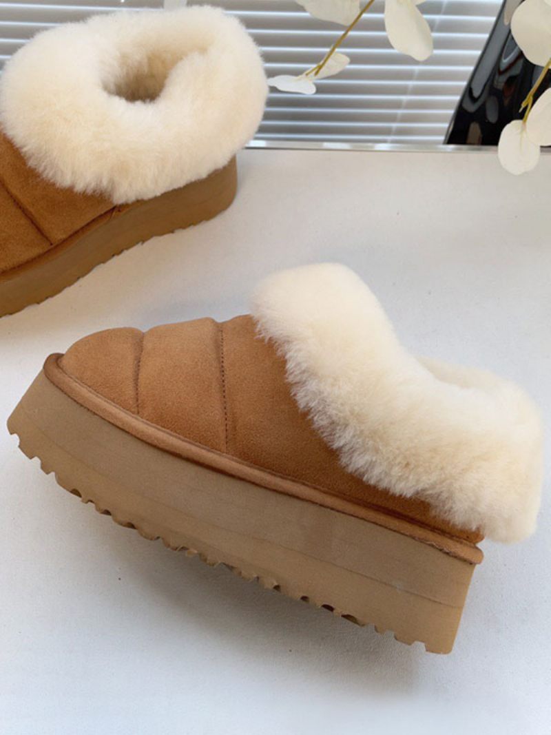 Bottes D'hiver Marron Pour Femmes Courtes Peluche À Bout Rond - Café Brun