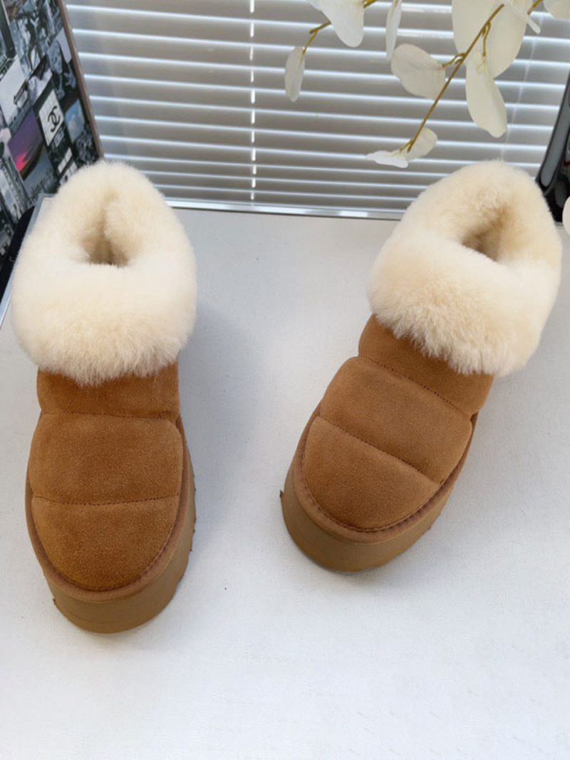 Bottes D'hiver Marron Pour Femmes Courtes Peluche À Bout Rond - Café Brun