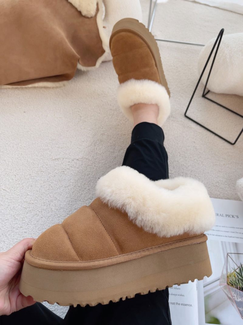 Bottes D'hiver Marron Pour Femmes Courtes Peluche À Bout Rond - Café Brun