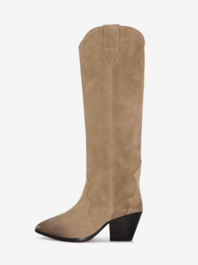 Bottes Occidentales Daim Pour Femmes Hautes Simples À Talon Chiot