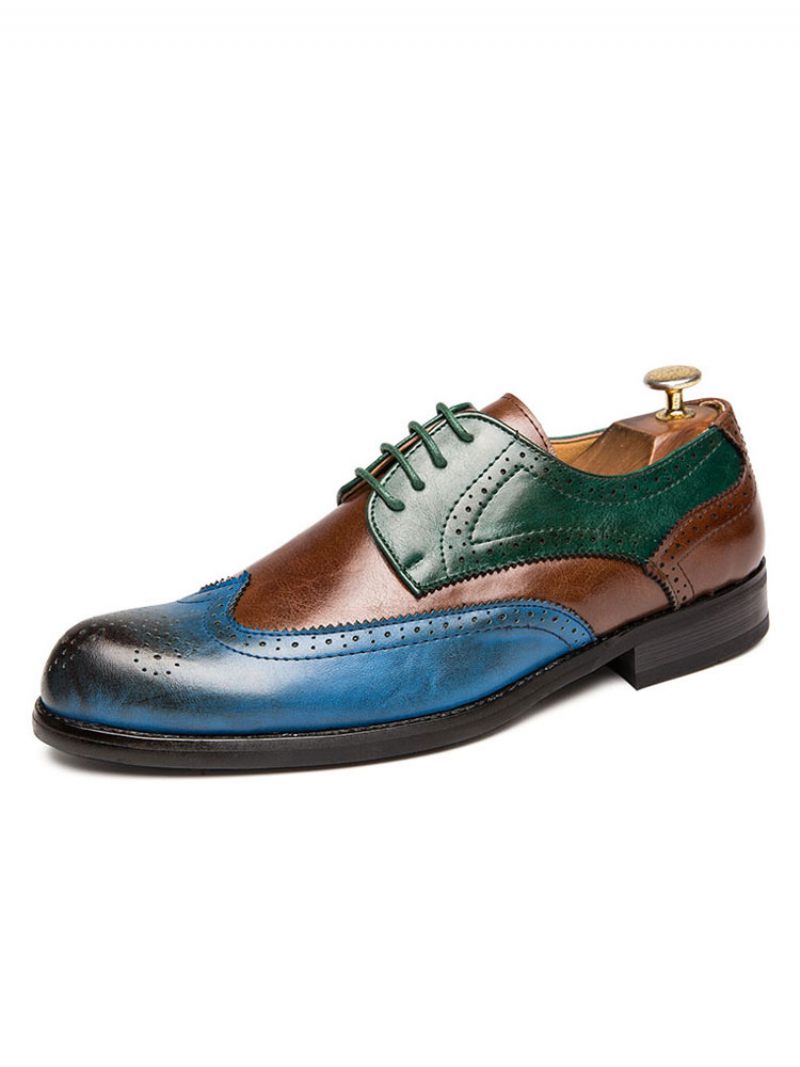 Chaussures Derby Habillées À Bouts D'ailes Color Block Pour Hommes