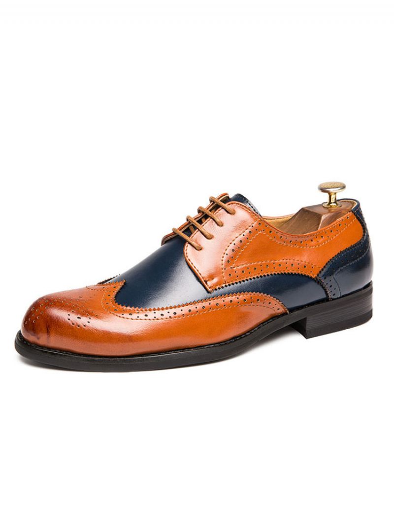 Chaussures Derby Habillées À Bouts D'ailes Color Block Pour Hommes - Café Marron