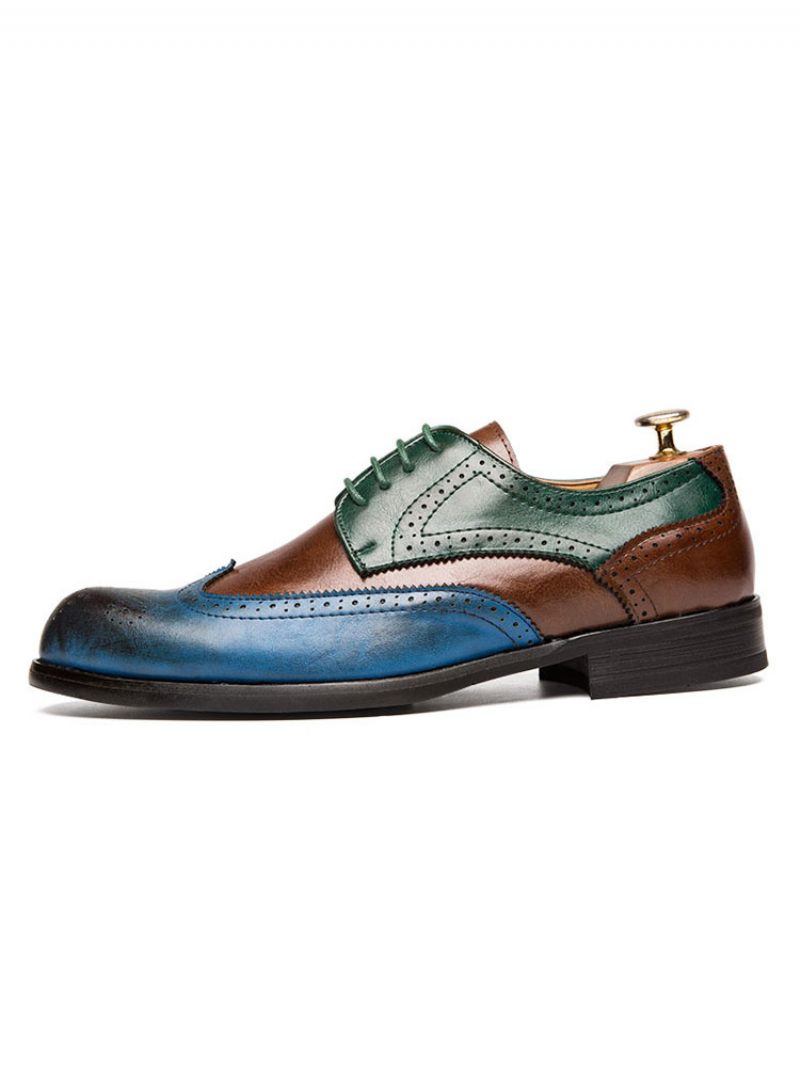 Chaussures Derby Habillées À Bouts D'ailes Color Block Pour Hommes - Bleu