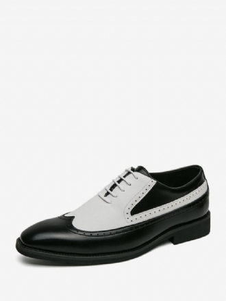 Chaussures Habillées Pour Hommes Bout Rond Sangle Réglable Cuir Pu Oxford Bal Fête Mariage Marié