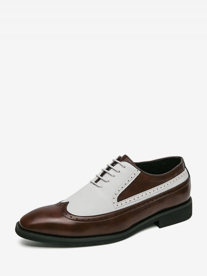 Chaussures Habillées Pour Hommes Bout Rond Sangle Réglable Cuir Pu Oxford Bal Fête Mariage Marié - Marron Café