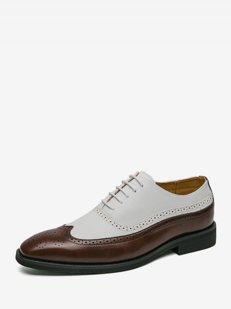 Chaussures Habillées Pour Hommes Élégantes Bout Rond Sangle Réglable Cuir Pu Patchwork À Lacets Oxford - Marron Café