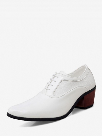 Chaussures Habillées Pour Hommes Fantastiques Bout Pointu À Lacets Cuir Pu Mariage Fête Bal