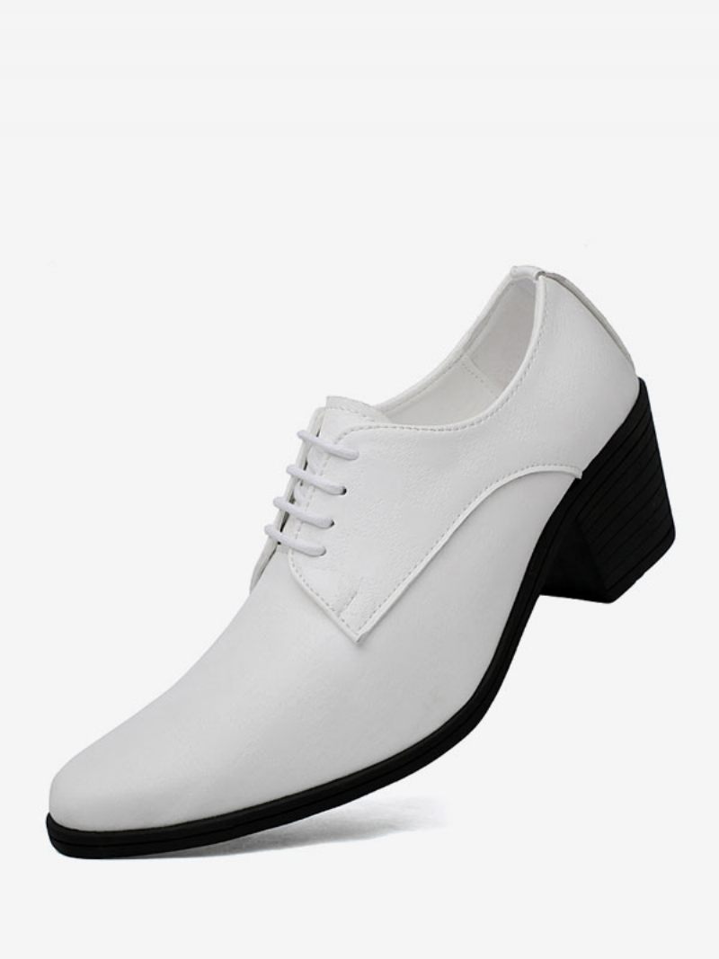 Chaussures Habillées Pour Hommes Mode Bout Pointu À Lacets Cuir Pu Mariage Fête Bal - Blanc