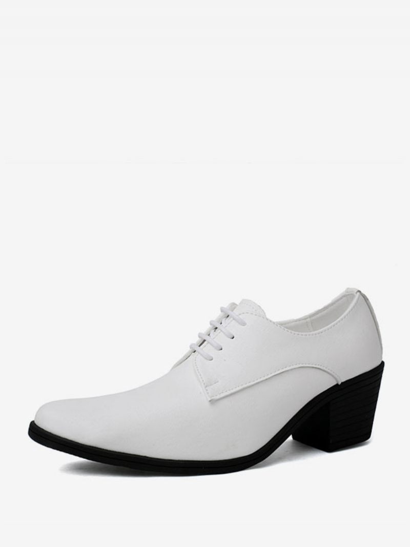 Chaussures Habillées Pour Hommes Mode Bout Pointu À Lacets Cuir Pu Mariage Fête Bal - Blanc