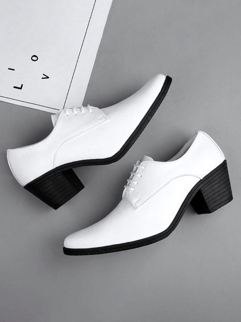 Chaussures Habillées Pour Hommes Mode Bout Pointu À Lacets Cuir Pu Mariage Fête Bal - Blanc