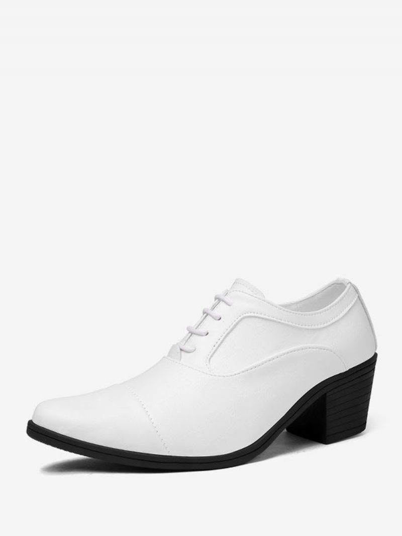 Chaussures Habillées Pour Hommes Mode Bout Pointu À Lacets Cuir Pu Mariage Fête Bal - Blanc