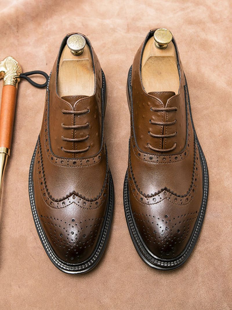 Chaussures Oxford Noires Pour Hommes Bout Rond Marié À Lacets - Marron Café