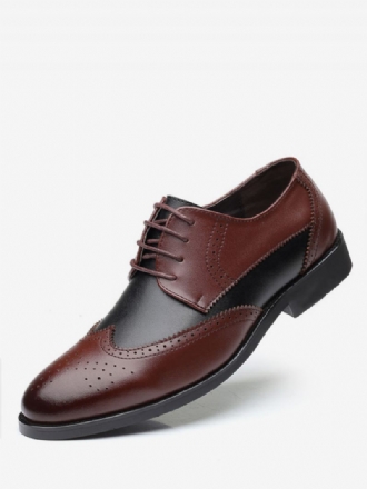 Derbys Bicolores À Bout D'aile Pour Hommes Robe Mariée Chaussures Formelles Derby Noir