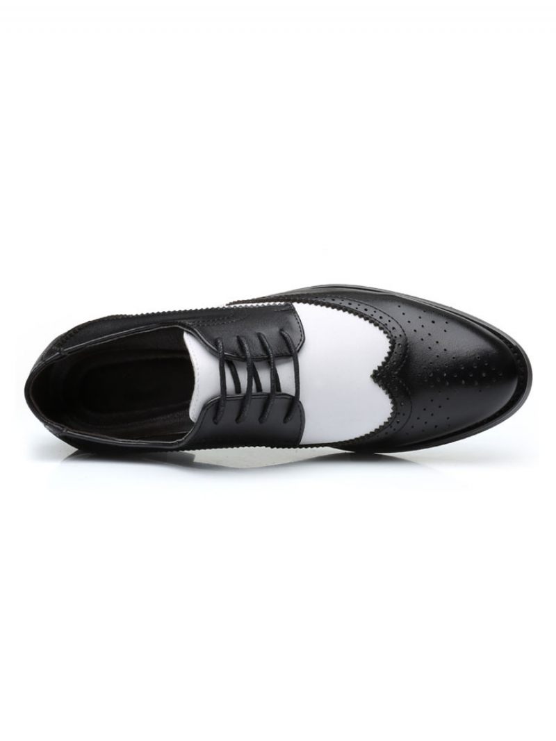 Derbys Bicolores À Bout D'aile Pour Hommes Robe Mariée Chaussures Formelles Derby Noir - Noir