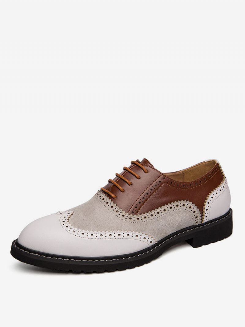 Oxford Color Block Dress Chaussures Formelles Pour Hommes Les Occasions