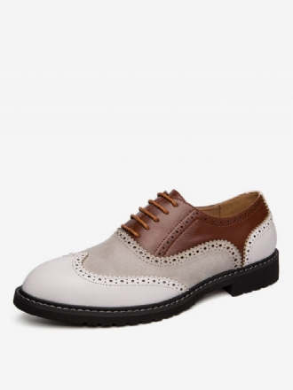 Oxford Color Block Dress Chaussures Formelles Pour Hommes Les Occasions