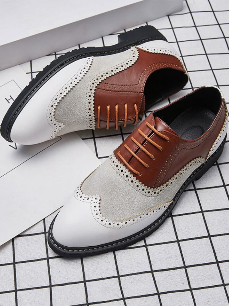 Oxford Color Block Dress Chaussures Formelles Pour Hommes Les Occasions - Marron Café