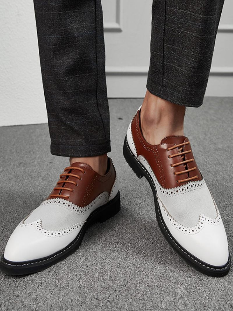 Oxford Color Block Dress Chaussures Formelles Pour Hommes Les Occasions - Marron Café