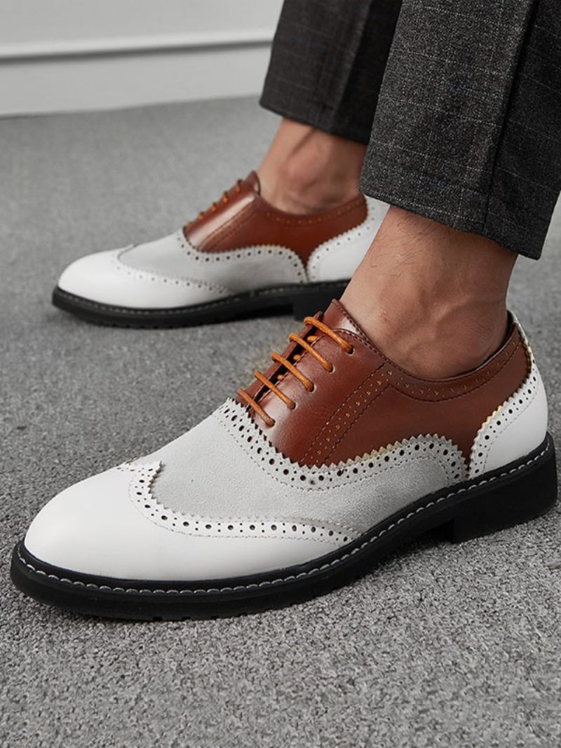 Oxford Color Block Dress Chaussures Formelles Pour Hommes Les Occasions - Marron Café