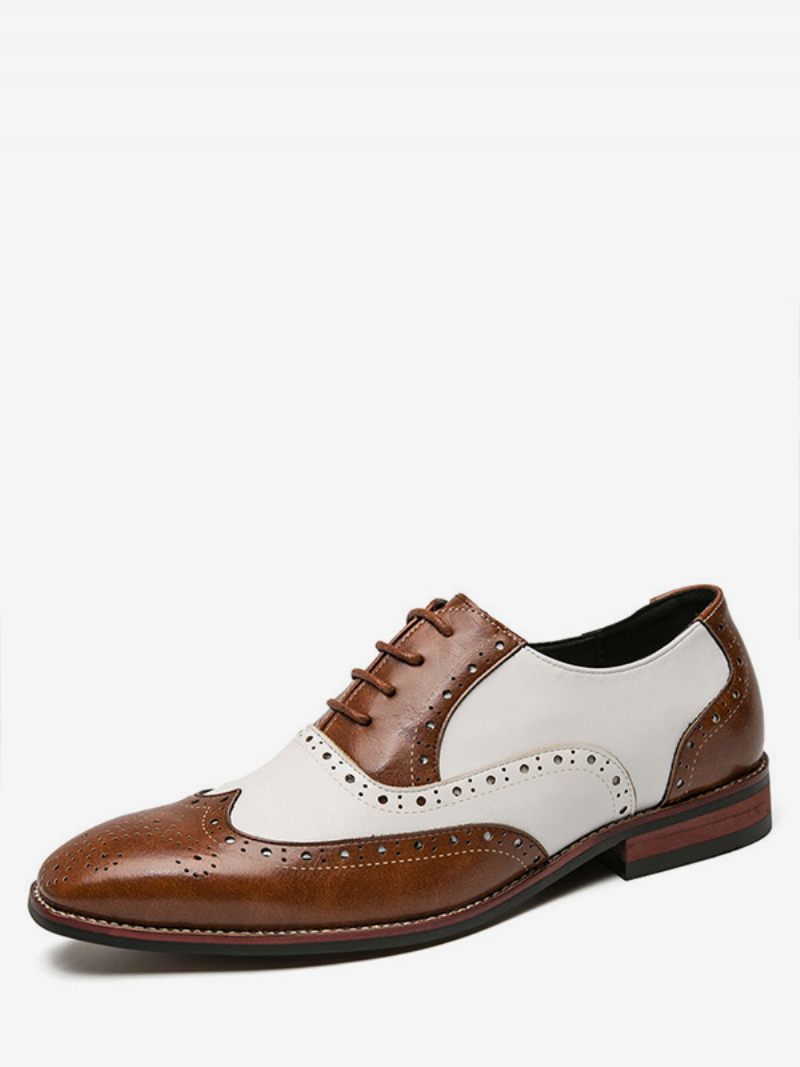 Oxfords Chaussures Pour Hommes Moderne Bout Rond Sangle Réglable Cuir Pu Bouts D'ailes Richelieu - Marron Café